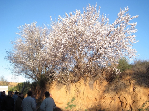 foto 00