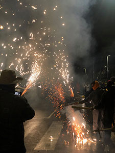 L'Entrada de la Flor 01/02/2025